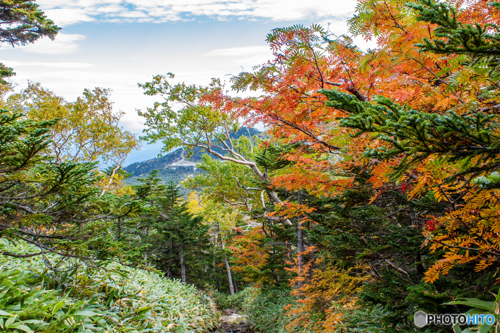 長野県　御嶽山　大滝ルート