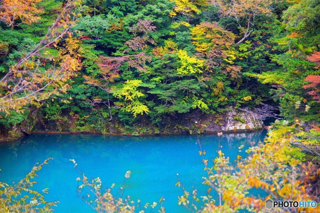 寸又峡　夢の吊橋