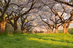 雫石川園地