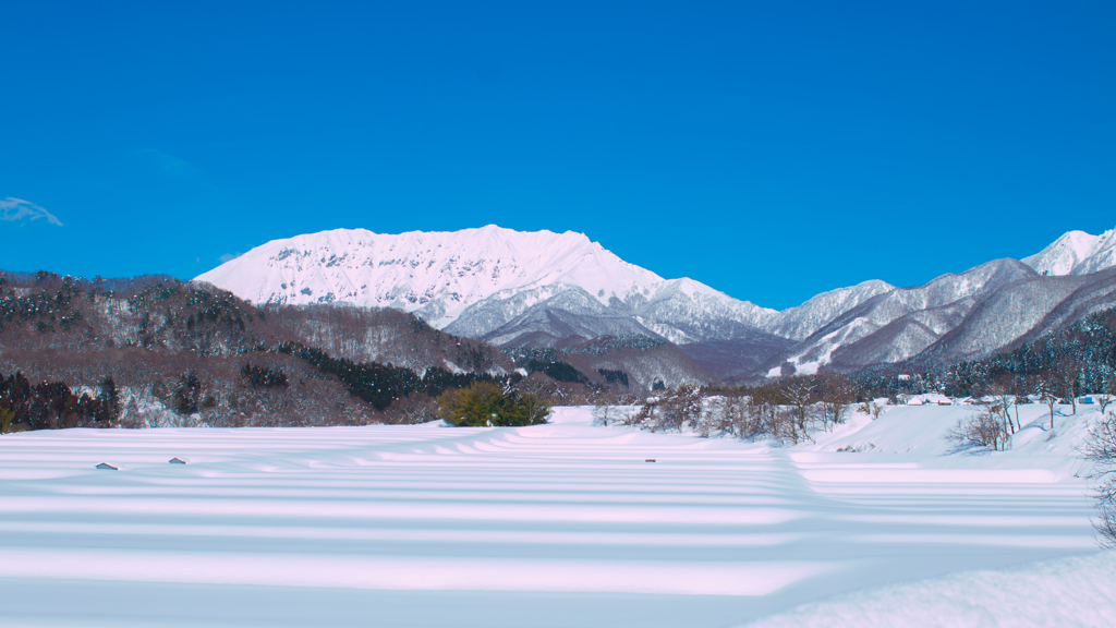 大山 伯耆 雪