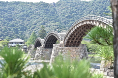 錦帯橋に来ました。 