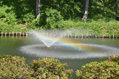 池の噴水に虹