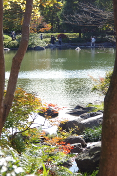 日本庭園内の池