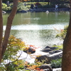 日本庭園内の池