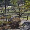 作業中