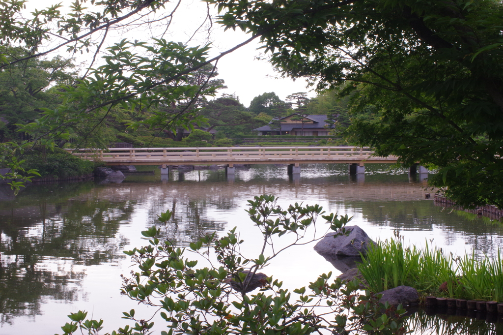 日本庭園を橋渡る橋