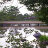 日本庭園を橋渡る橋