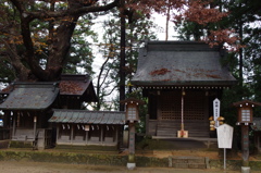 穂高神社３（若宮社）