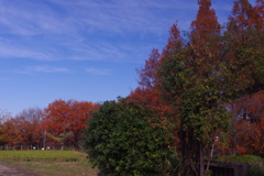 都市農業公園の景色　2016年12月