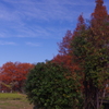 都市農業公園の景色　2016年12月