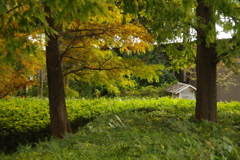 風景　２