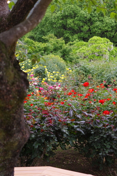 花々と木