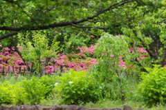 花２