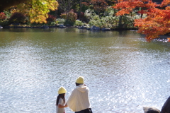 日本庭園の秋　５