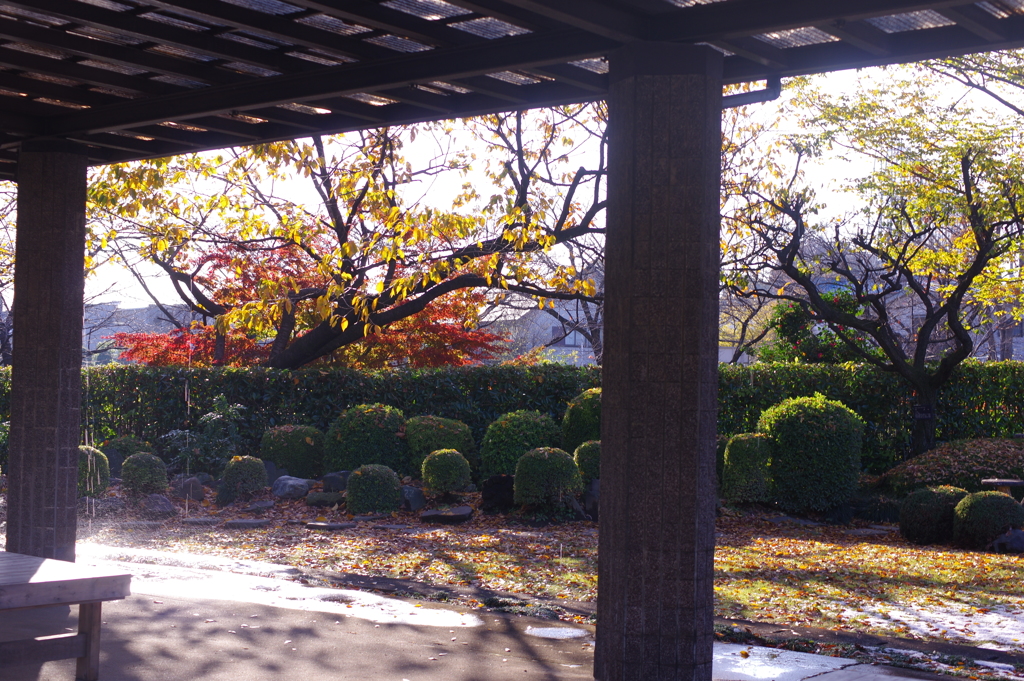 あき　２