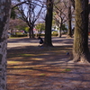 北綾瀬公園　２０１６，１，１８