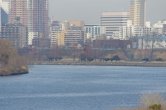 風景（荒川）