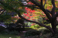 庭園美術館の庭　５