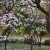 春