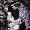 公園の小川　２０１６，１，１８