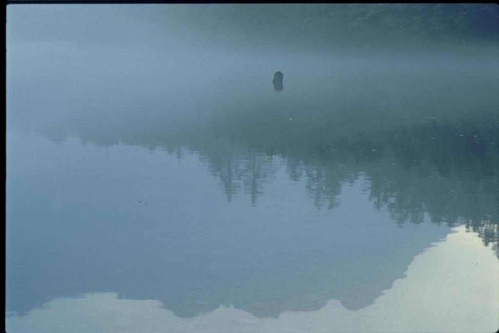 大正池の朝　４