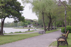 水元公園　１