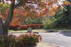 昭和記念公園　２