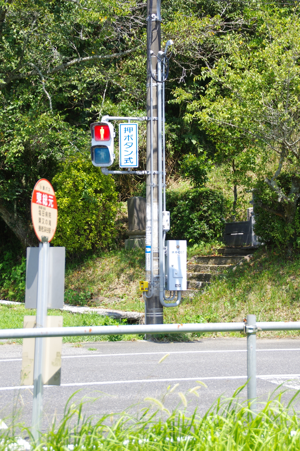 横断歩道はあっち