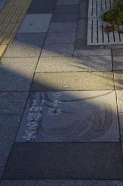 面白い歩道