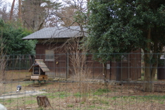 ほのぼのと