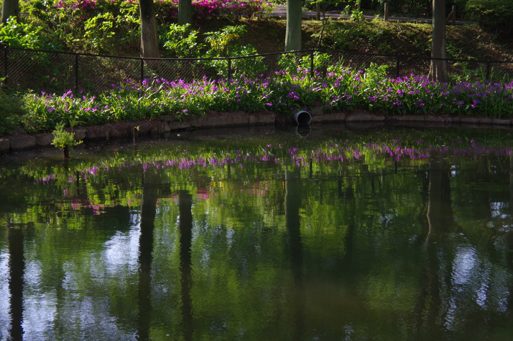 Pondー Side