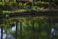 Pondー Side