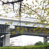 秋　２