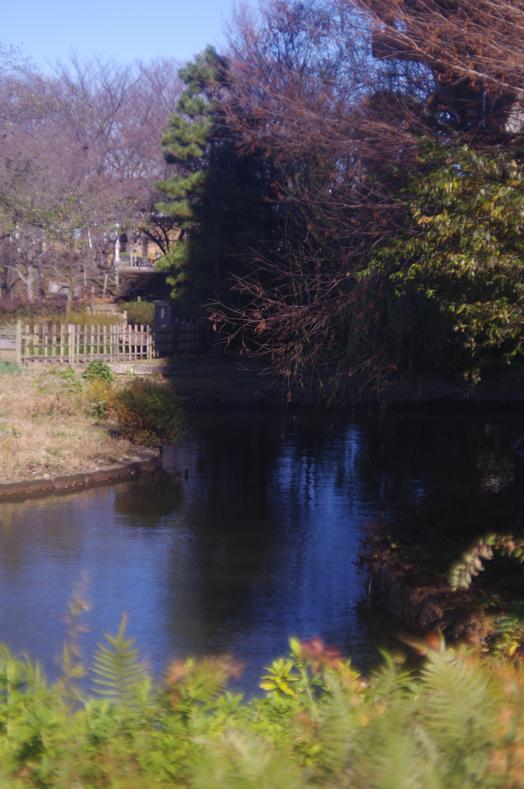 風景　2016年12月