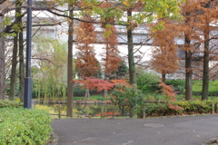 風景