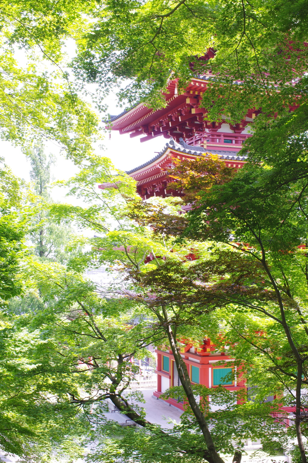 木々の間に　１