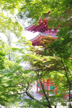 木々の間に　１