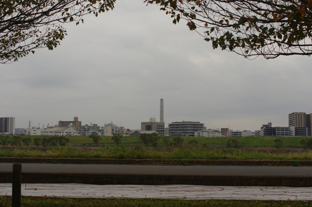 対岸の風景