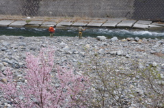 たば川