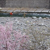 たば川