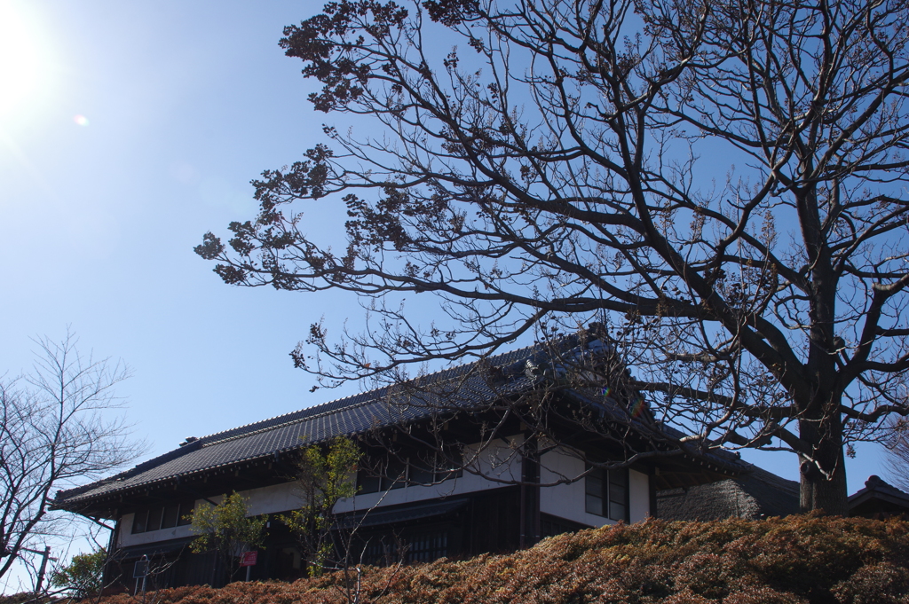 長屋門と樹木