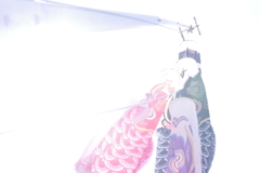 太陽を浴びて