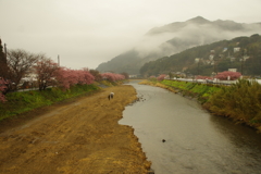 風景