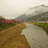 風景