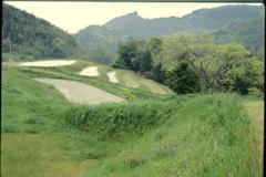 大山千枚田（2000年5月）