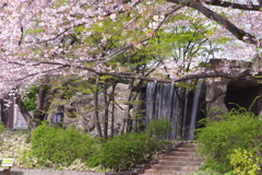 公園の滝