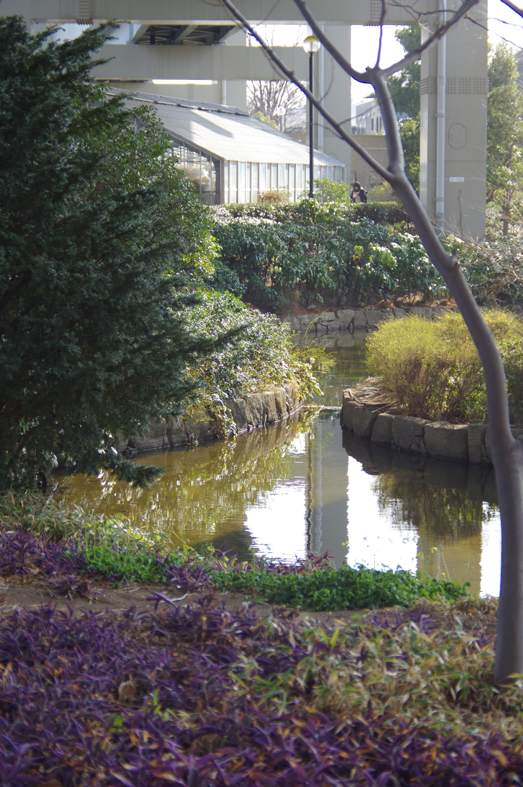 池からの風景
