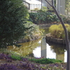 池からの風景