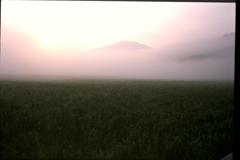 小田代ヶ原の夜明け　３（2002年7月29日）