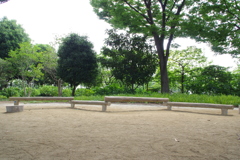 ベンチ